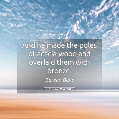 Picture 05 - Exodus 38:6 BSB - And he made the poles of acacia wood and overlaid - Bible Verse Picture