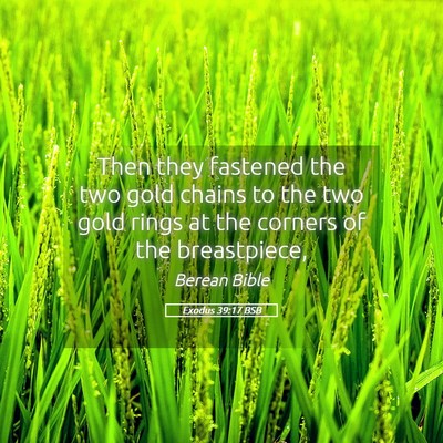 Picture 05 - Exodus 39:17 BSB - Then they fastened the two gold chains to the two - Bible Verse Picture