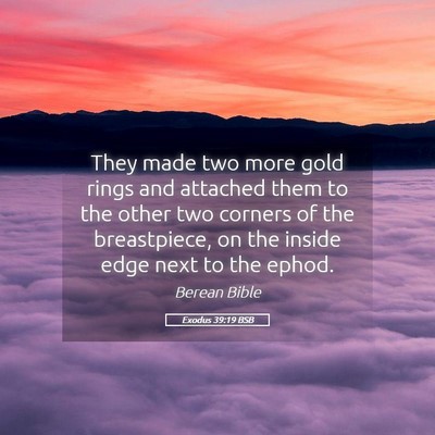 Picture 05 - Exodus 39:19 BSB - They made two more gold rings and attached them - Bible Verse Picture