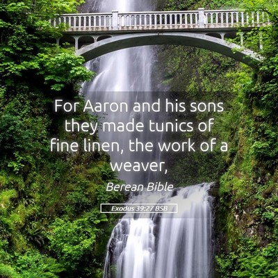Picture 05 - Exodus 39:27 BSB - For Aaron and his sons they made tunics of fine - Bible Verse Picture