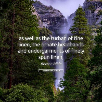 Picture 05 - Exodus 39:28 BSB - as well as the turban of fine linen, the ornate - Bible Verse Picture