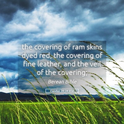 Picture 05 - Exodus 39:34 BSB - the covering of ram skins dyed red, the covering - Bible Verse Picture