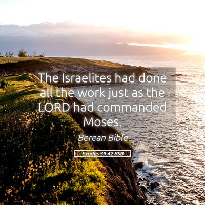 Picture 05 - Exodus 39:42 BSB - The Israelites had done all the work just as the - Bible Verse Picture