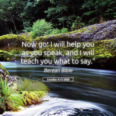 Picture 05 - Exodus 4:12 BSB - Now go! I will help you as you speak, and I will - Bible Verse Picture