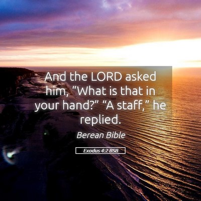 Picture 05 - Exodus 4:2 BSB - And the LORD asked him, “What is that in your - Bible Verse Picture