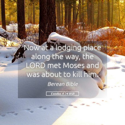 Picture 05 - Exodus 4:24 BSB - Now at a lodging place along the way, the LORD - Bible Verse Picture