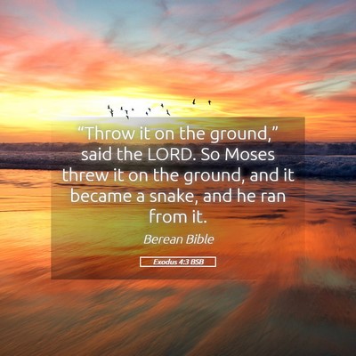 Picture 05 - Exodus 4:3 BSB - “Throw it on the ground,” said the LORD. So - Bible Verse Picture