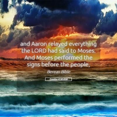 Picture 05 - Exodus 4:30 BSB - and Aaron relayed everything the LORD had said to - Bible Verse Picture