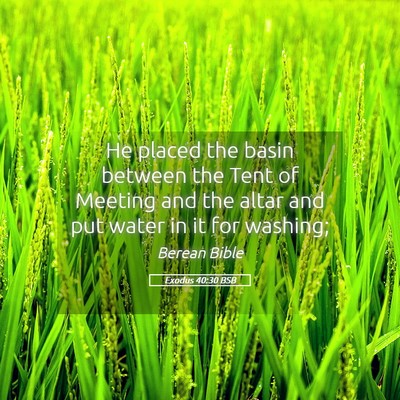 Picture 05 - Exodus 40:30 BSB - He placed the basin between the Tent of Meeting - Bible Verse Picture