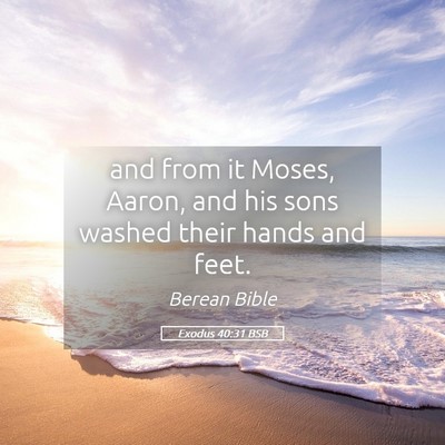 Picture 05 - Exodus 40:31 BSB - and from it Moses, Aaron, and his sons washed - Bible Verse Picture