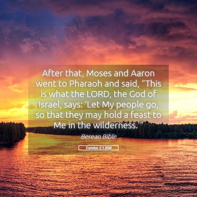 Picture 05 - Exodus 5:1 BSB - After that, Moses and Aaron went to Pharaoh and - Bible Verse Picture