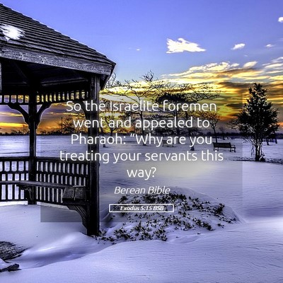 Picture 05 - Exodus 5:15 BSB - So the Israelite foremen went and appealed to - Bible Verse Picture