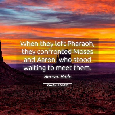 Picture 05 - Exodus 5:20 BSB - When they left Pharaoh, they confronted Moses and - Bible Verse Picture