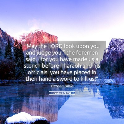 Picture 05 - Exodus 5:21 BSB - “May the LORD look upon you and judge you,” - Bible Verse Picture