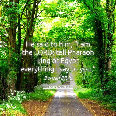 Picture 05 - Exodus 6:29 BSB - He said to him, “I am the LORD; tell Pharaoh - Bible Verse Picture