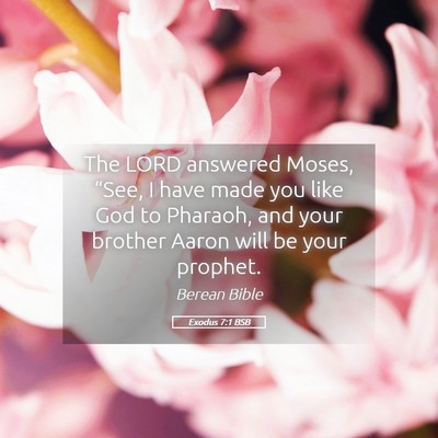 Picture 05 - Exodus 7:1 BSB - The LORD answered Moses, “See, I have made you - Bible Verse Picture