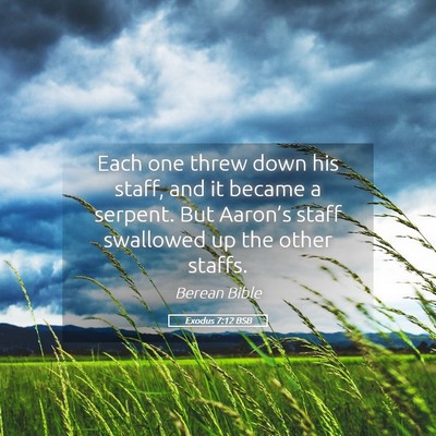 Picture 05 - Exodus 7:12 BSB - Each one threw down his staff, and it became a - Bible Verse Picture