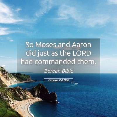 Picture 05 - Exodus 7:6 BSB - So Moses and Aaron did just as the LORD had - Bible Verse Picture