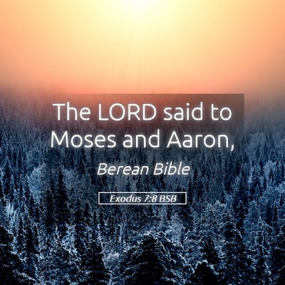 Picture 05 - Exodus 7:8 BSB - The LORD said to Moses and - Bible Verse Picture