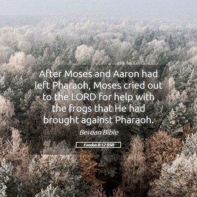 Picture 05 - Exodus 8:12 BSB - After Moses and Aaron had left Pharaoh, Moses - Bible Verse Picture
