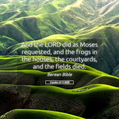 Picture 05 - Exodus 8:13 BSB - And the LORD did as Moses requested, and the - Bible Verse Picture