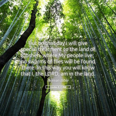 Picture 05 - Exodus 8:22 BSB - But on that day I will give special treatment to - Bible Verse Picture