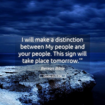 Picture 05 - Exodus 8:23 BSB - I will make a distinction between My people and - Bible Verse Picture