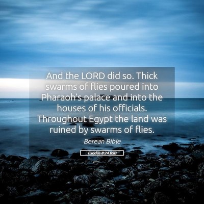 Picture 05 - Exodus 8:24 BSB - And the LORD did so. Thick swarms of flies poured - Bible Verse Picture