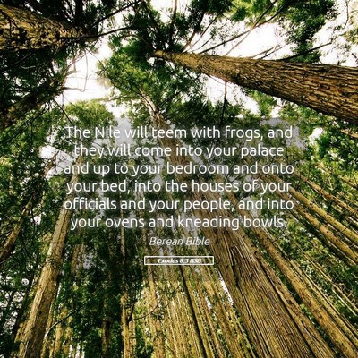 Picture 05 - Exodus 8:3 BSB - The Nile will teem with frogs, and they will come - Bible Verse Picture