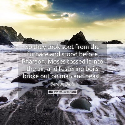 Picture 05 - Exodus 9:10 BSB - So they took soot from the furnace and stood - Bible Verse Picture