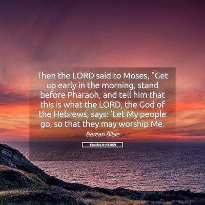 Picture 05 - Exodus 9:13 BSB - Then the LORD said to Moses, “Get up early in - Bible Verse Picture