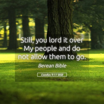 Picture 05 - Exodus 9:17 BSB - Still, you lord it over My people and do not - Bible Verse Picture