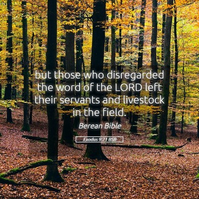 Picture 05 - Exodus 9:21 BSB - but those who disregarded the word of the LORD - Bible Verse Picture