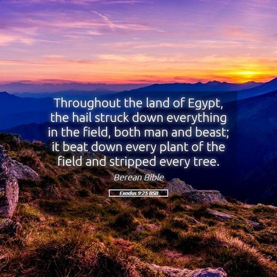 Picture 05 - Exodus 9:25 BSB - Throughout the land of Egypt, the hail struck - Bible Verse Picture