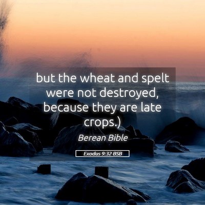 Picture 05 - Exodus 9:32 BSB - but the wheat and spelt were not destroyed, - Bible Verse Picture