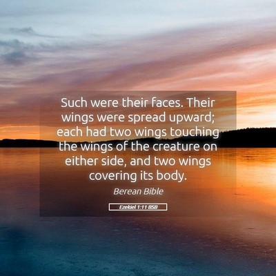 Picture 05 - Ezekiel 1:11 BSB - Such were their faces. Their wings were spread - Bible Verse Picture