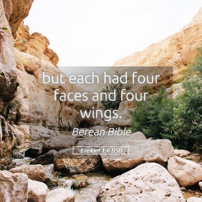 Picture 05 - Ezekiel 1:6 BSB - but each had four faces and four - Bible Verse Picture