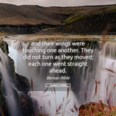 Picture 05 - Ezekiel 1:9 BSB - and their wings were touching one another. They - Bible Verse Picture