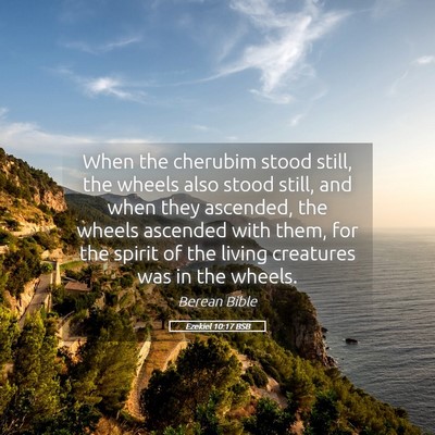 Picture 05 - Ezekiel 10:17 BSB - When the cherubim stood still, the wheels also - Bible Verse Picture