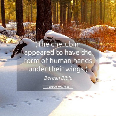 Picture 05 - Ezekiel 10:8 BSB - (The cherubim appeared to have the form of human - Bible Verse Picture