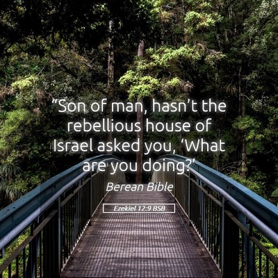 Picture 05 - Ezekiel 12:9 BSB - “Son of man, hasn’t the rebellious house of - Bible Verse Picture