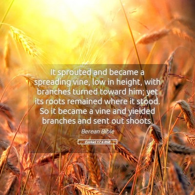 Picture 05 - Ezekiel 17:6 BSB - It sprouted and became a spreading vine, low in - Bible Verse Picture
