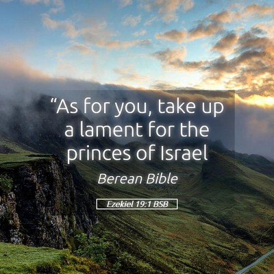 Picture 05 - Ezekiel 19:1 BSB - “As for you, take up a lament for the princes - Bible Verse Picture