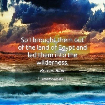 Picture 05 - Ezekiel 20:10 BSB - So I brought them out of the land of Egypt and - Bible Verse Picture
