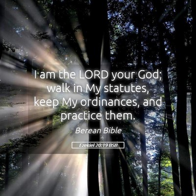 Picture 05 - Ezekiel 20:19 BSB - I am the LORD your God; walk in My statutes, keep - Bible Verse Picture