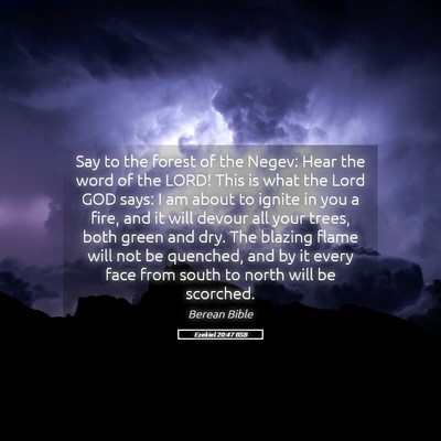 Picture 05 - Ezekiel 20:47 BSB - Say to the forest of the Negev: Hear the word of - Bible Verse Picture