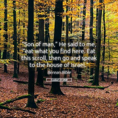 Picture 05 - Ezekiel 3:1 BSB - “Son of man,” He said to me, “eat what you - Bible Verse Picture