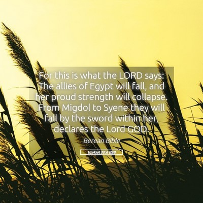 Picture 05 - Ezekiel 30:6 BSB - For this is what the LORD says: The allies of - Bible Verse Picture
