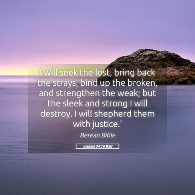 Picture 05 - Ezekiel 34:16 BSB - I will seek the lost, bring back the strays, bind - Bible Verse Picture