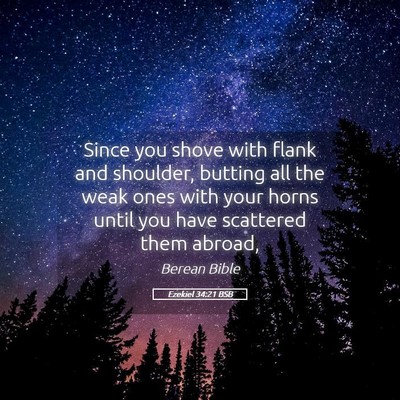 Picture 05 - Ezekiel 34:21 BSB - Since you shove with flank and shoulder, butting - Bible Verse Picture